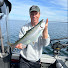 imxoT41ODSg-channel-avatar-Digitrol Fishing