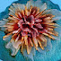 MVOgj7fp6ak-channel-avatar-DesignArtwithBarb 