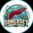 U5MWiIw_Cxo-channel-avatar-Somerset Shrimp Shack