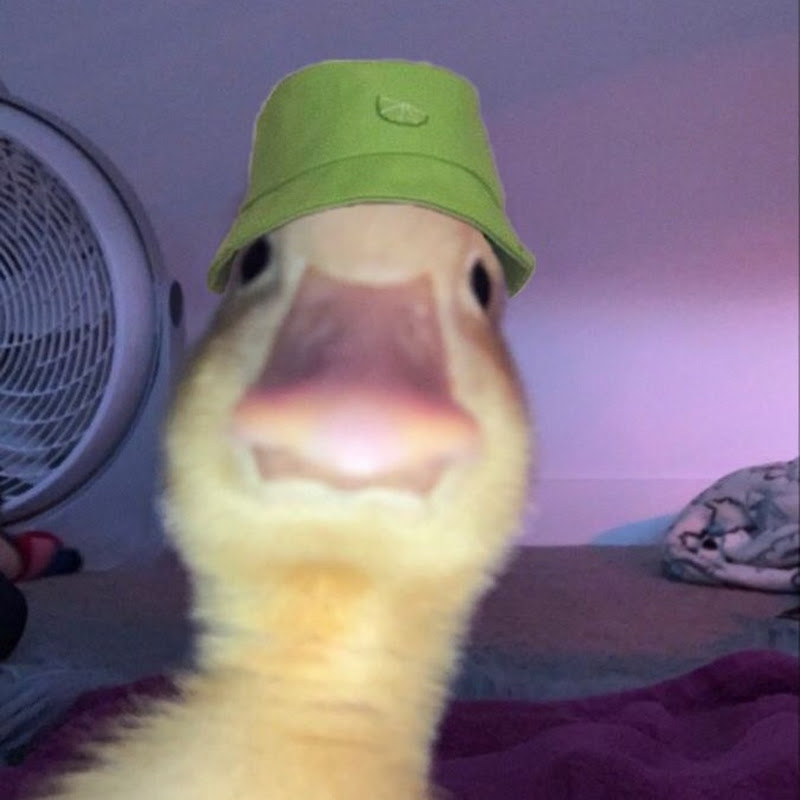 Roast Duck