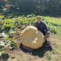 Nick's Big Pumpkin
