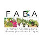 FABA - Produire la banane plantain sans pesticide