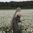 @افنانالفنان-ب7ق