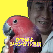 ひでぽよ野獣猫チャンネル