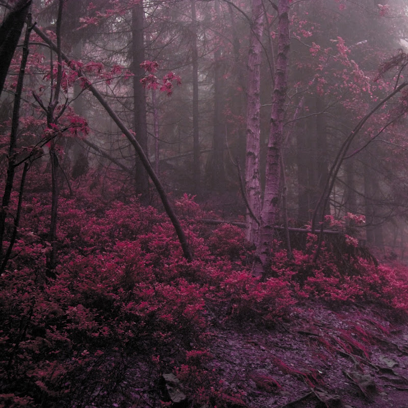 Огород для души Logo