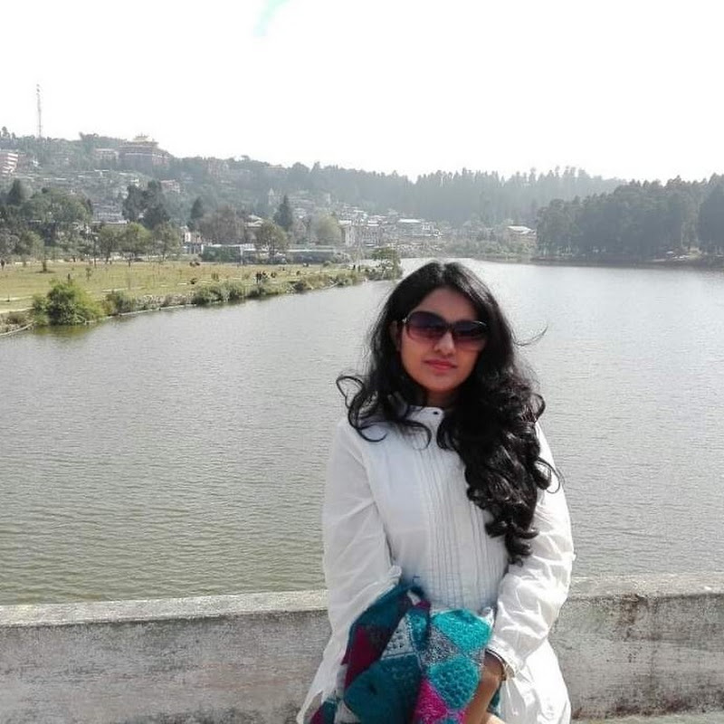 Navila Vlogs