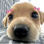 Li4m_comed
