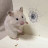 @user-re9bu5vo7t