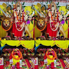 TLS king 