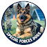 jyFJX1xVgNo-channel-avatar-Special Forces Dogs and Caleb Vance 