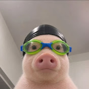 TINA REDDIT