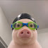 GVARkKZVQow-channel-avatar-TINA REDDIT