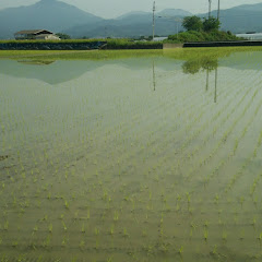 徳島の廣くんアイコン画像