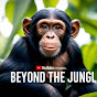 Beyond the Jungle  logo
