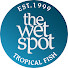 NsTW1drrWh4-channel-avatar-The Wet Spot Tropical Fish