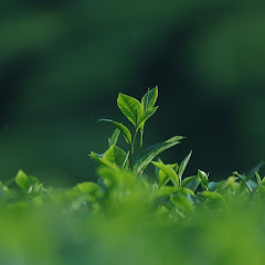 けつおけつお【感動★総集編】 #1