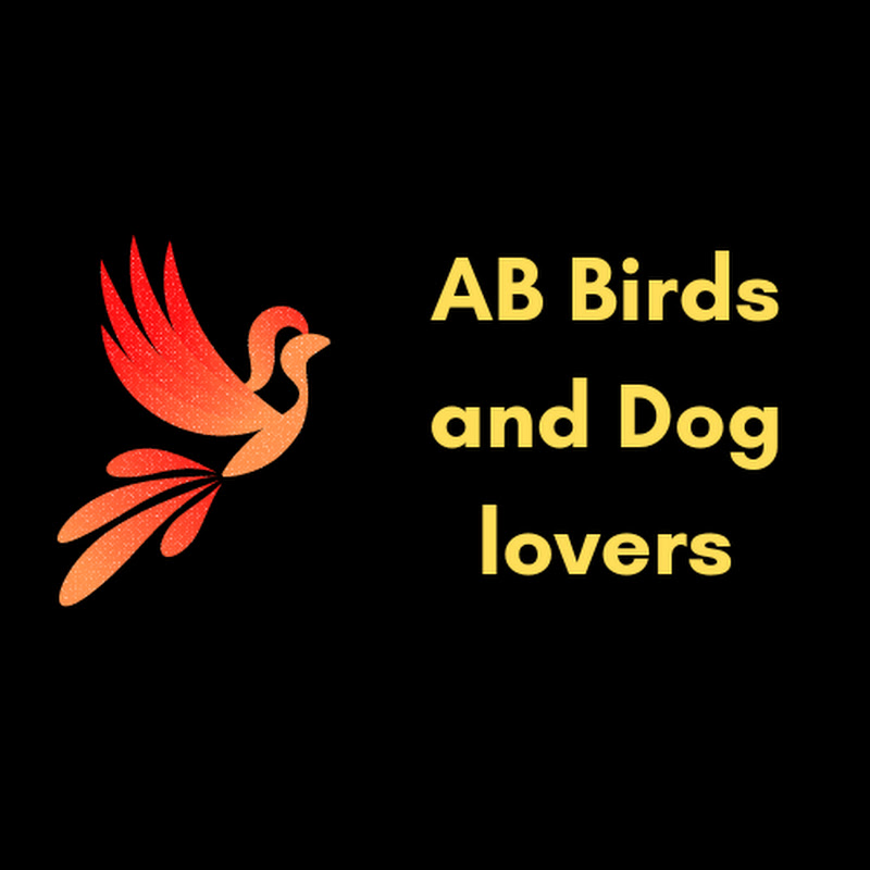 AB Birds and Dog lovers