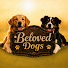 RhQdVvtKkqU-channel-avatar-Beloved Dogs