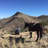 MYZL6I8WIFs-channel-avatar-EAT'N BRUSH HUNTING HORSEBACK