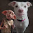 @redrumtyranny Avatar