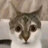 qKDf-om0bgo-channel-avatar-1 hour content