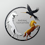 Animal Variation logo