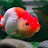 @썬더-H3o