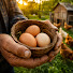 tu8754wv8Fc-channel-avatar-The Honest Homesteader