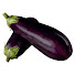 bR6pVV9EXpg-channel-avatar-揚げ茄子マルシェ
