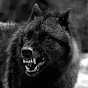 Kon19XX