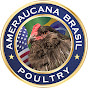 Ameraucana Brasil Poultry logo