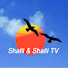 QJBYowNa7t0-channel-avatar-Shaili & Shaili TV