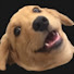 pjApxFTEjFU-channel-avatar-Goomba Goblin