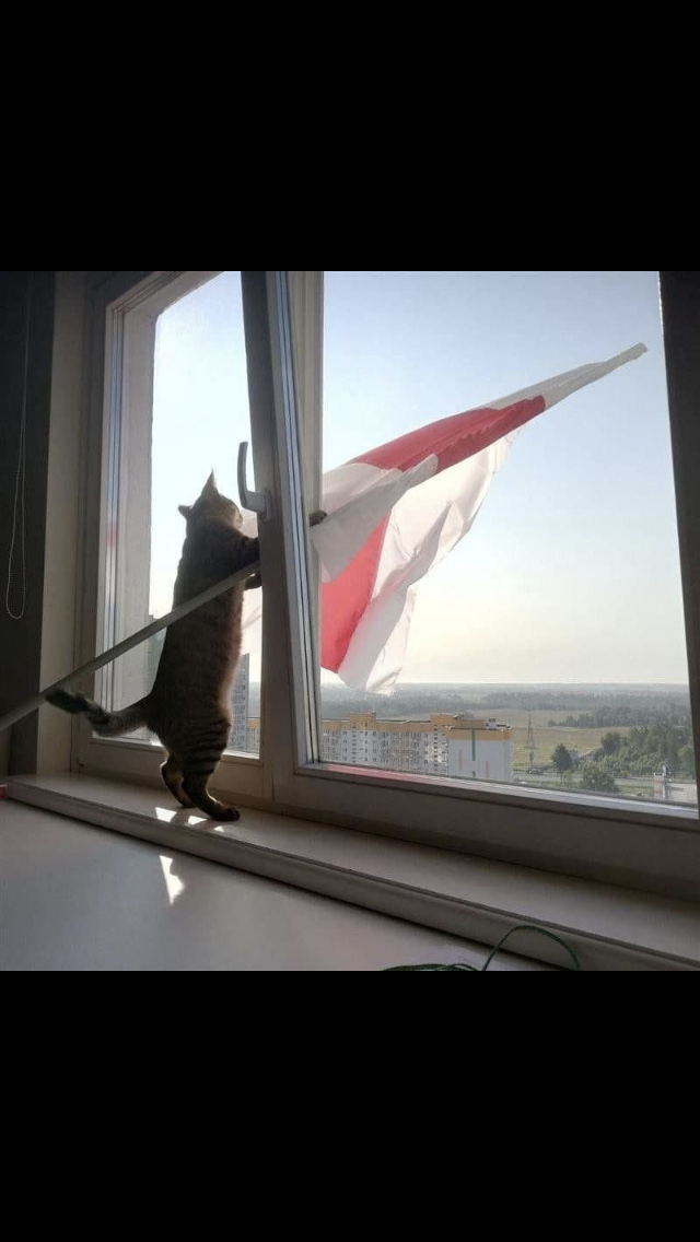 t63AdqvGhf4iHHKIWnYJe95Hyohg_tgVnZcodEzn