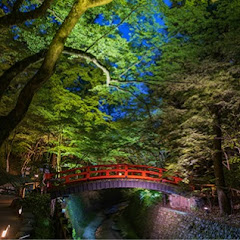 escassy(エスカッシー)  風景Channel