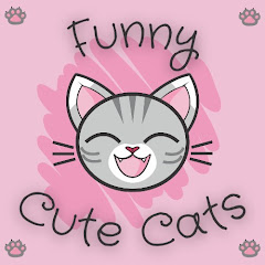 Funny Cute Cats