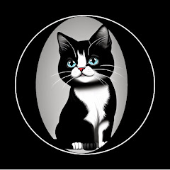 cat gor avatar