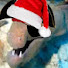 cFCUgE-NIEY-channel-avatar-lePirateMan