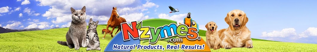 Biopet Nzymes رمز قناة اليوتيوب