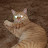 @bobbytables3675 Avatar