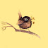 0LoDK66Rbos-channel-avatar-Wren