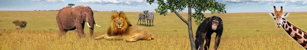 safariramatgan ইউটিউব চ্যানেল অ্যাভাটার