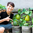 6t_qvW02Wkc-channel-avatar-Terrace Garden