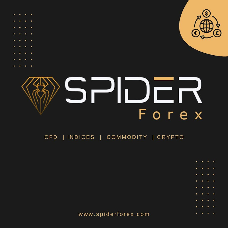 Spider Forex