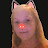 @catzplays1cfg-cvbvf