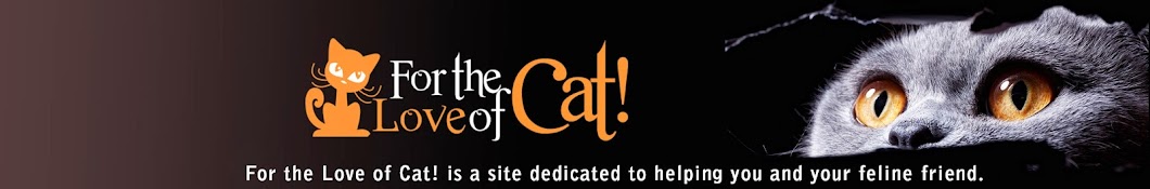 For the Love of Cat! YouTube channel avatar