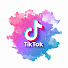 lJtAfi07ut0-channel-avatar-TikTok Famous and VibeClips