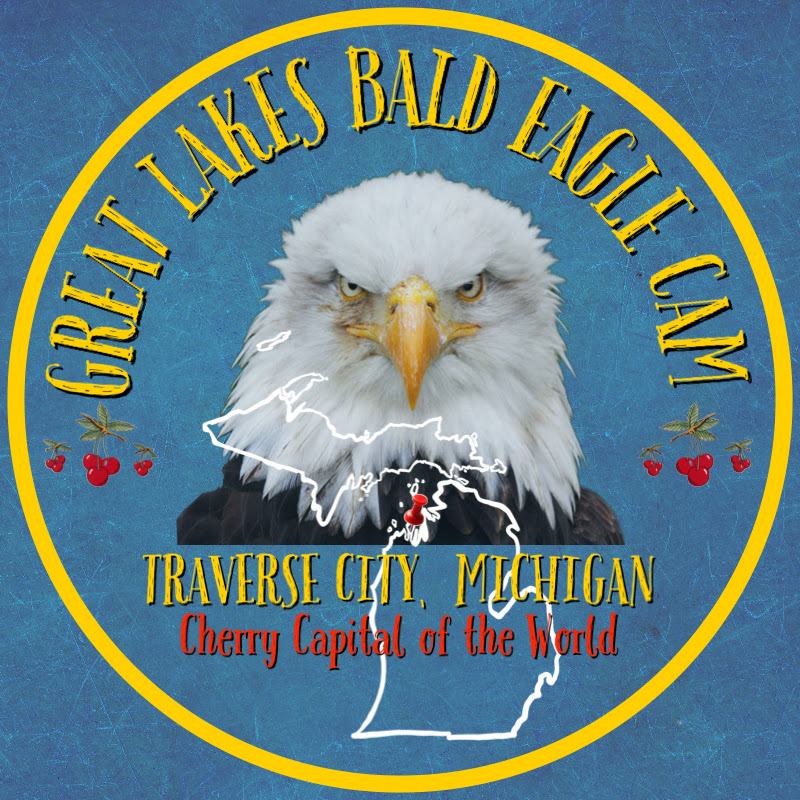 Great Lakes Bald Eagle Cam logo