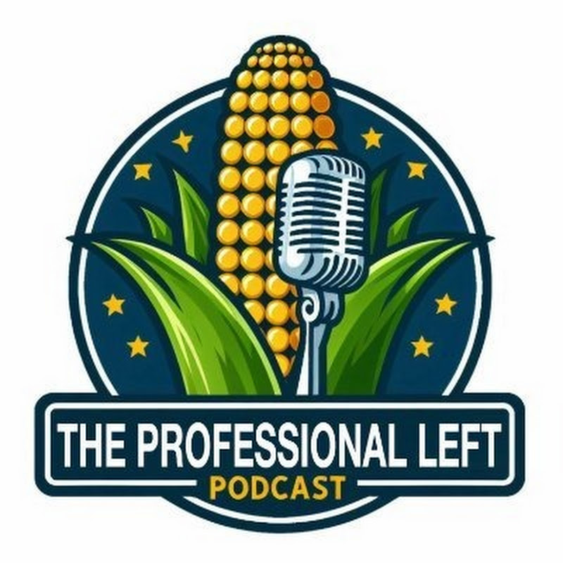 Professional Left icon