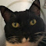 oBEai8JdER0-channel-avatar-bigsleeter